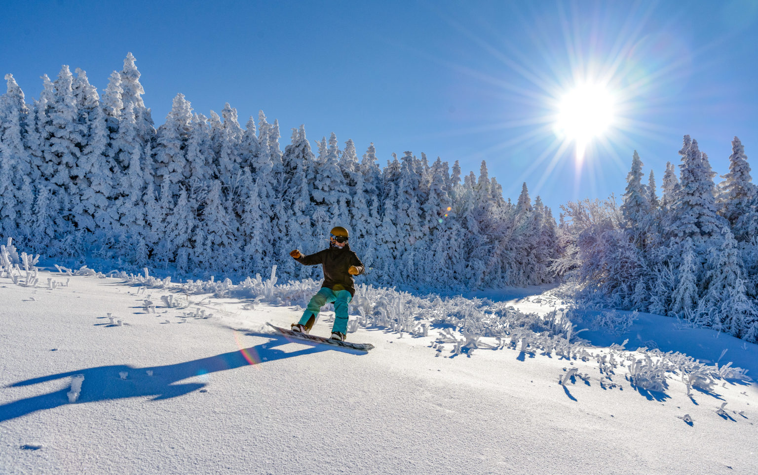 Snowboarder carving on a bluebird day at Stratton Mountain